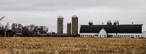trees sky cold building fall field wisconsin clouds barn rural canon buildings cornfield scenery gloomy farm extreme farming neglected scenic large scene silo abandon cupola silos agriculture dairy desolate wi deserted dairybarn deteriorating farmstead delapitated cupolas brodhead t5i brodheadwi