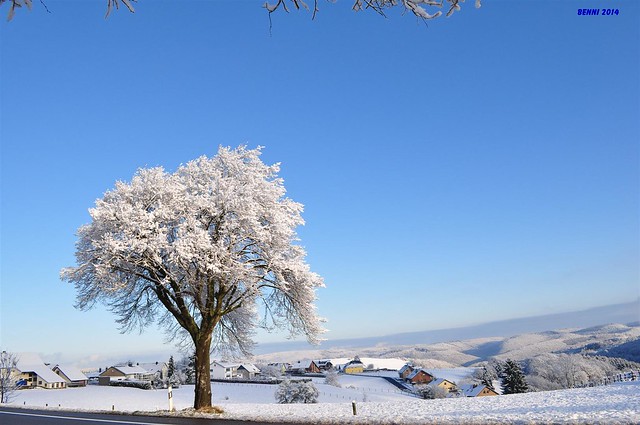 00114 Morsbach in der Eifel winter 2014