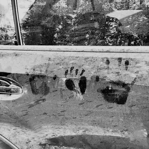 Is that a bear print in the middle? | by fennelgrl