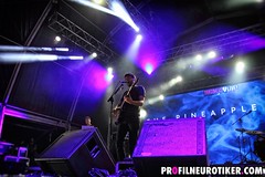 The-Pineapple-Thief_021