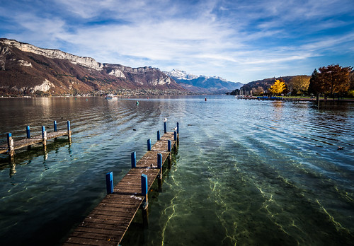 wood trees mountain lake snow france alps reflection bird annecy fall water alpes seagull horizon lac wave clear savoie far