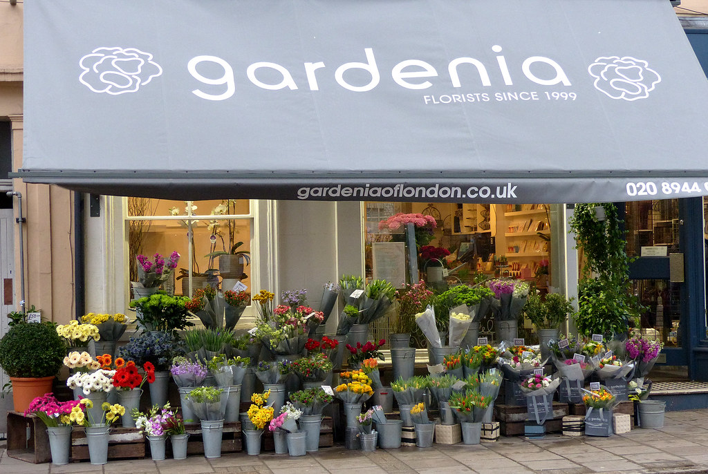 Gardenia Flower Shop Wimbledon Lepreskil Flickr