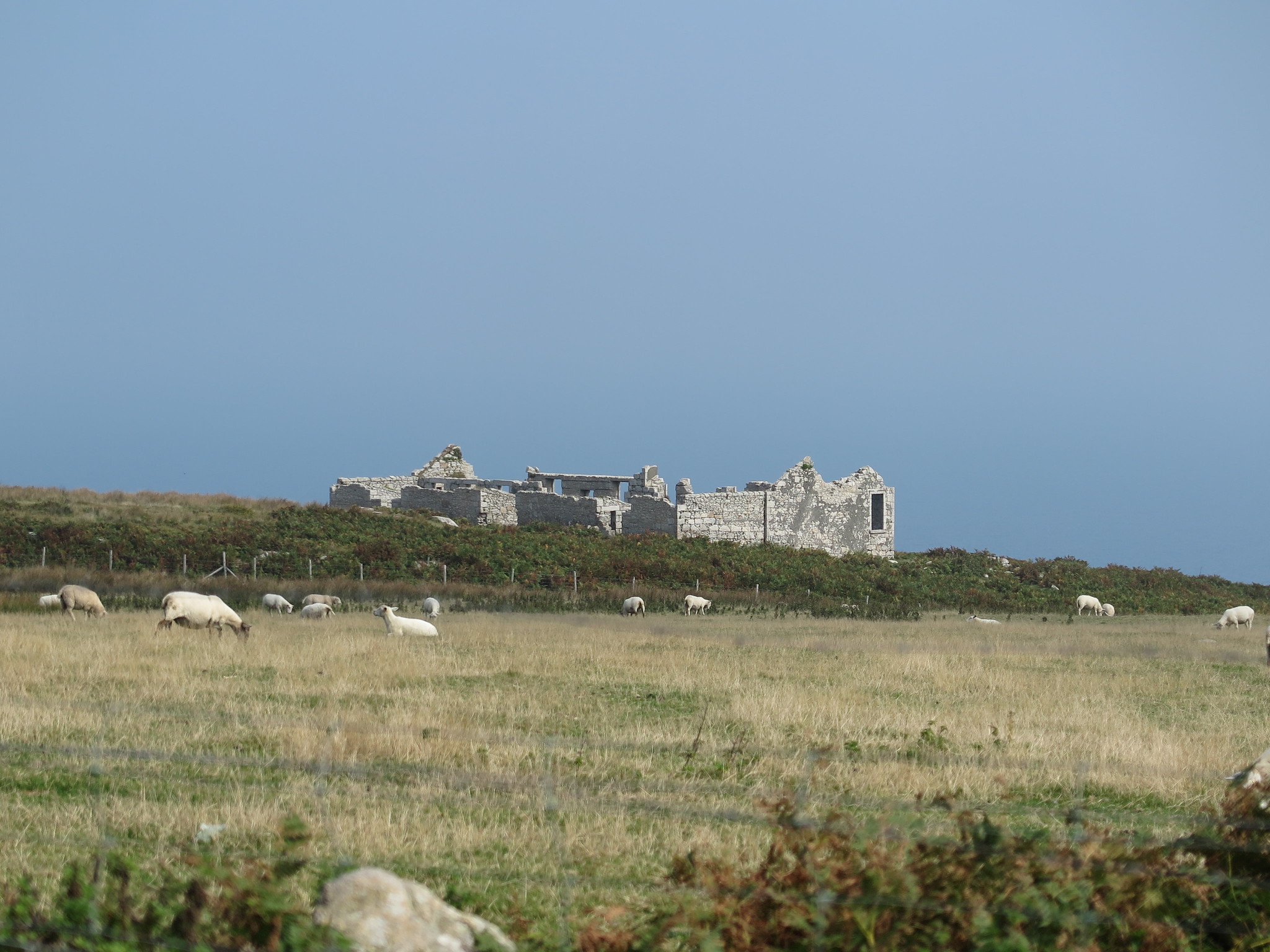 (Lundy Trip)