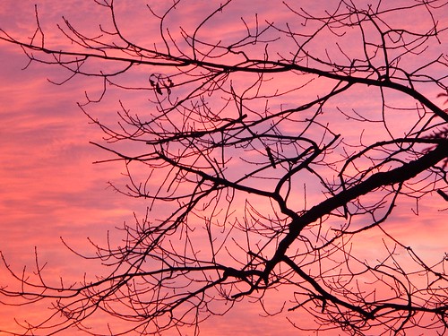 winter sunset dusk sharon sunny queensville pinksky clearsky hollandlanding mountalbert eastgwillimbury flickrelitegroup riverdrivepark