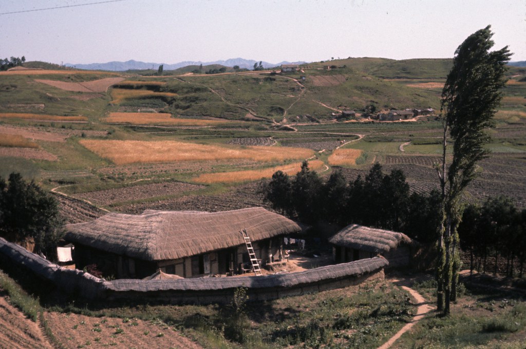 Korean farmhouse | Korea, 1950-53 photographer: Unknown | m20wc51 | Flickr