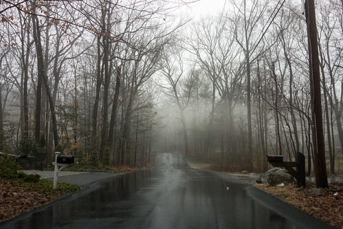 winter mist ny newyork wet rain fog westchestercounty poundridge sonydscrx100 conantvalleyroad