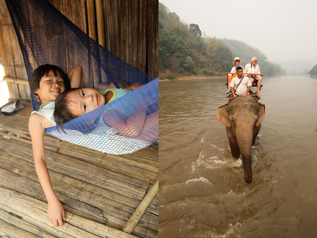 elephant ride - thailand