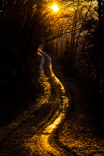 The golden road