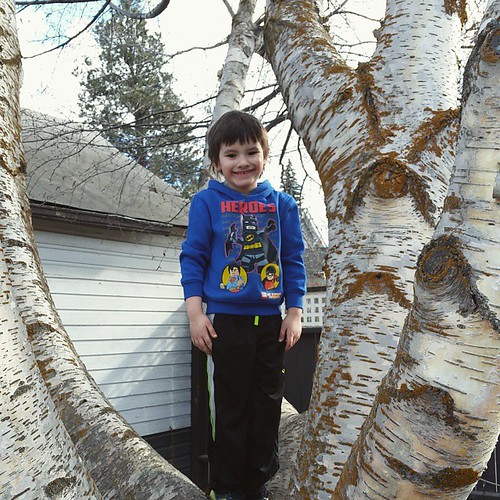 #cute #kid #love #5yrold #bclife #kidsofinstagram #smiling #son #bestkid | by pixielee3