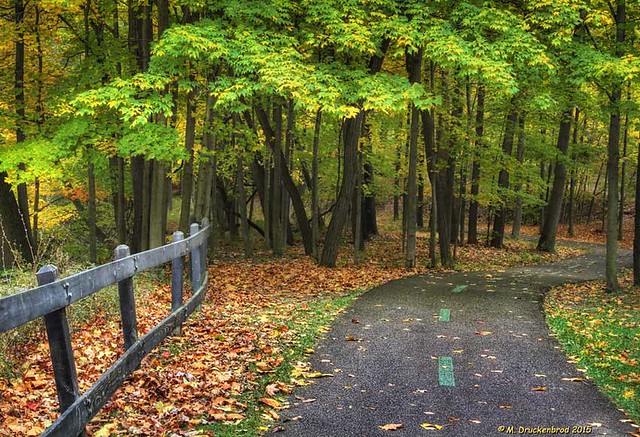 Cleveland Metropark Hiking Trail along Euclid Creek