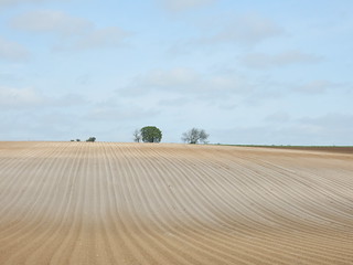 Big ploughed field Baldock Circular