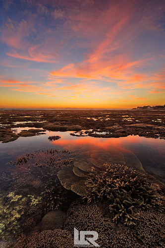 Trésor du lagon de Saint-Pierre - La Réunion | by Ludovic RIVIERE, photographe reunion 974 (LRPHOTOG
