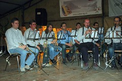 2008 71. Bezirksmusikfest in Mörel
