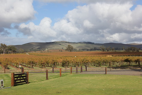 landscape wine australia winetasting adelaide southaustralia barossavalley