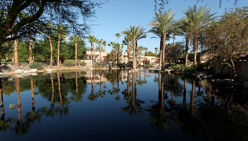 california ca trees reflection water hotel pond indian wells palm resort springs hyatt accommodation luxury regency konomark