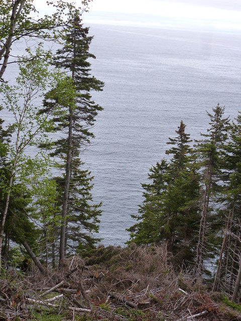 Middle  Head trail Cape Breton Highlands National Park Ingonish Nova Scotia