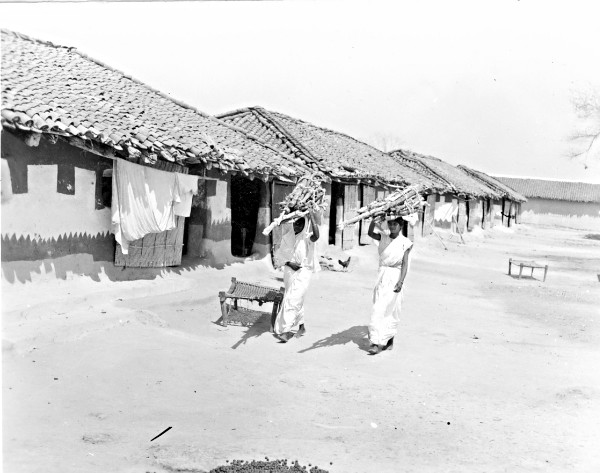 Widows' homes, Balodgahan, India, 1951