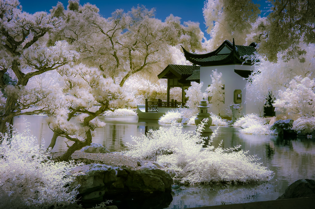 Serene Chinese Garden - Color IR