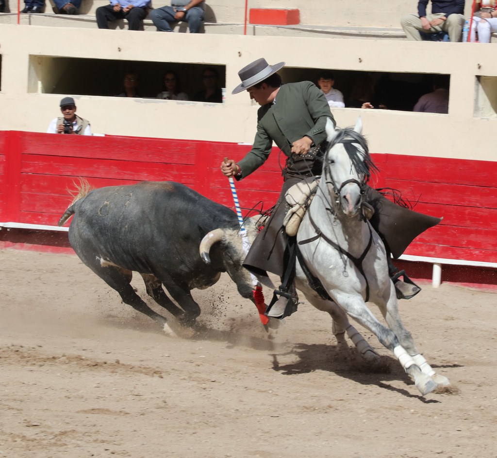 Guillermo Hermoso Bull Fighting
