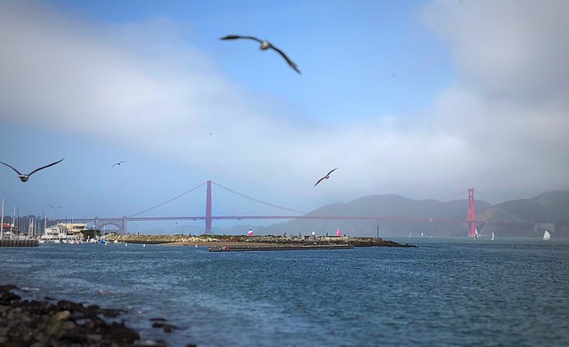 Golden Gate Bridge - Golden Gate Park - San Francisco, CA