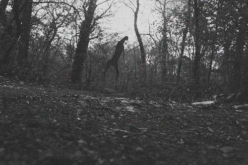 Monster Sightings | by PictureMinion