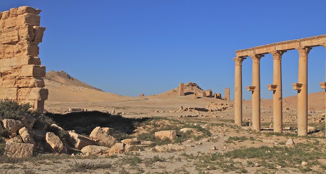 Ancient City Landscapes of Palmyra The UNESCO World Heritage Site Syria Middle East