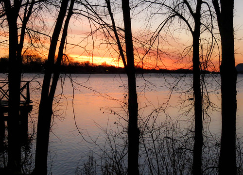 park morning trees sky lake nature water minnesota sunrise landscape dawn march midwest scenery scenic winona daybreak