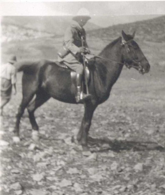 Soldier on Horseback in Palestine