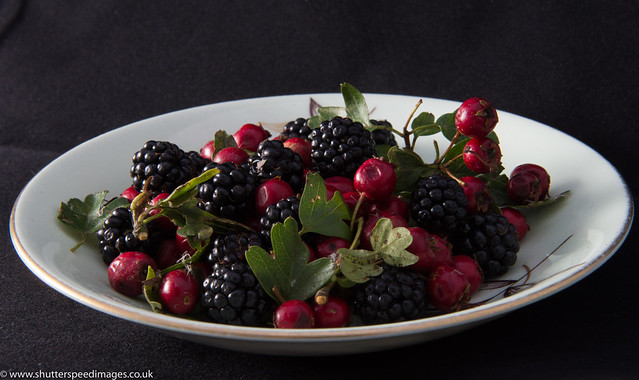 Wild Berries