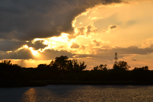 powerline sunset tree abberton reservoir