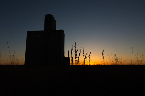 sunset grass silhouette landscape alberta grainelevator innisfail paulhowardphotography