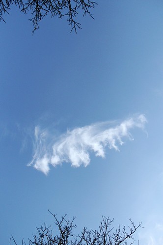 an interesting cloud | by Dany Morgens