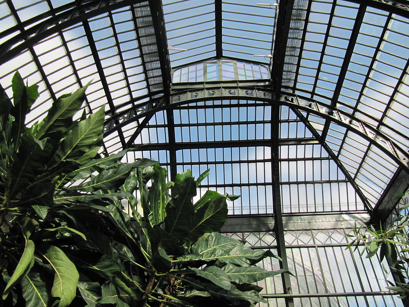 Glasshouse roof
