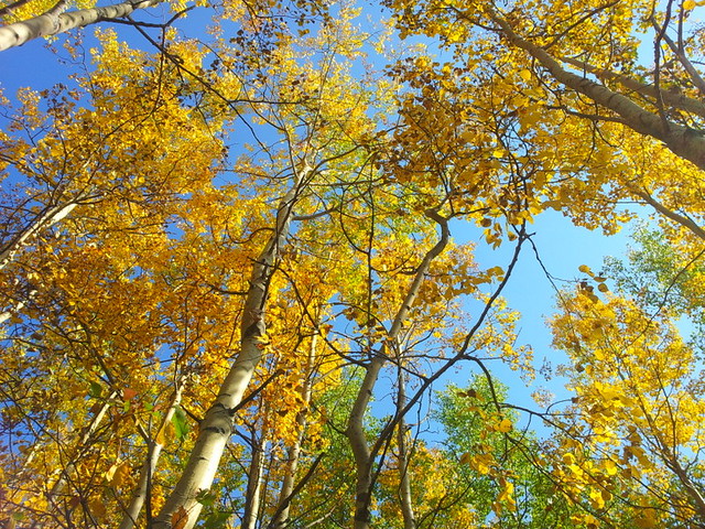 Prairie Creek