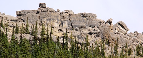 Whitehorse Creek PRA