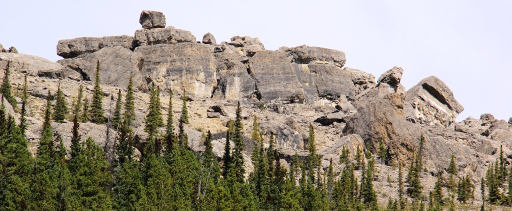 Whitehorse Creek PRA