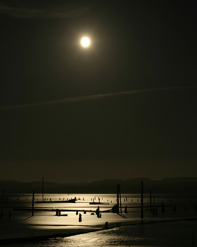 harbor by moonlight . 8 by Steven Schnoor
