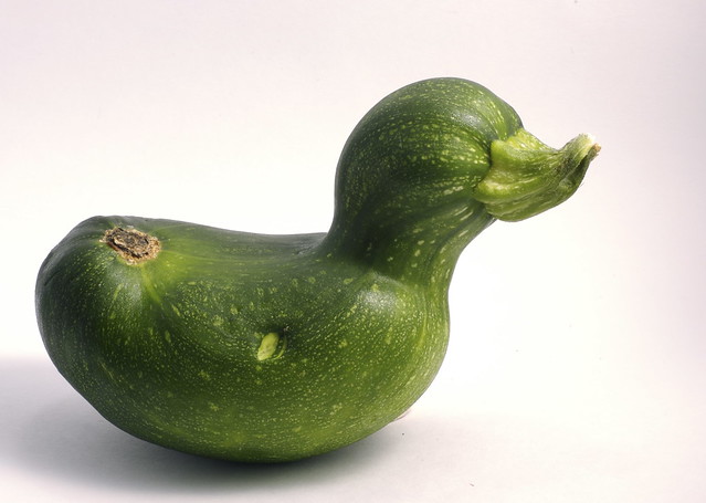 Zucchini Duck