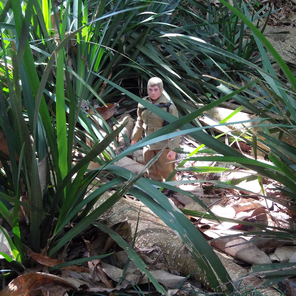 Jungle Joe At The Wahiawa Botanical Gardens 2018 Blonde R Flickr