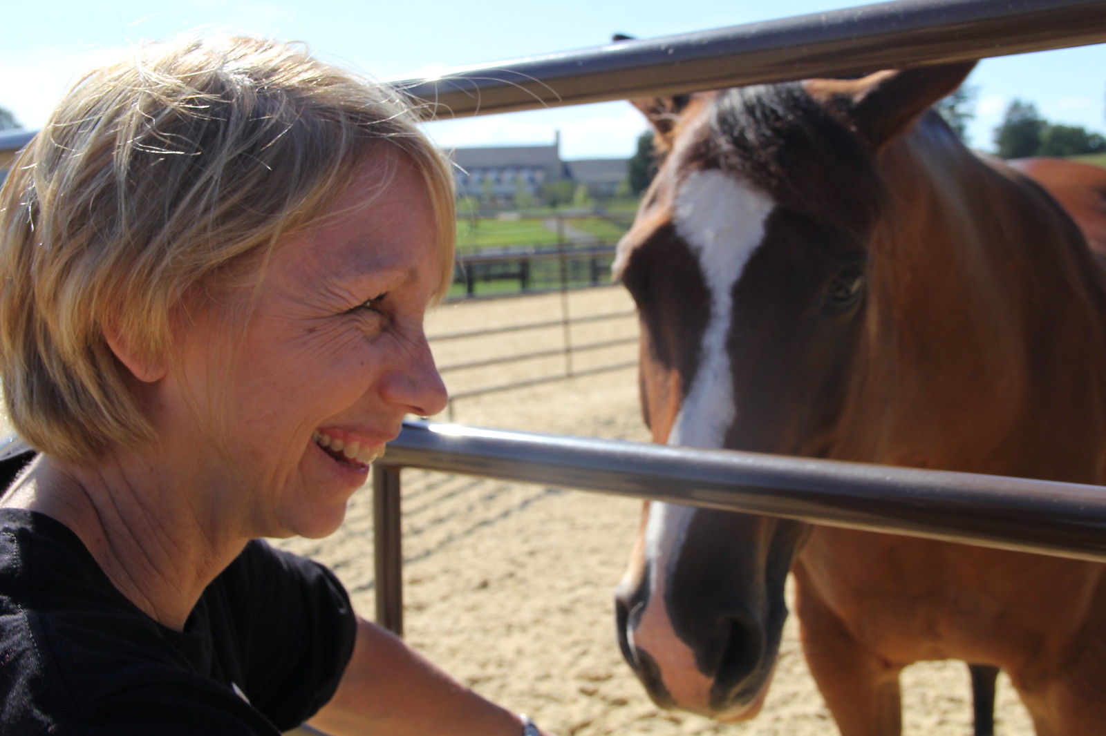2015_T4T_Salamander Equine Therapy 52