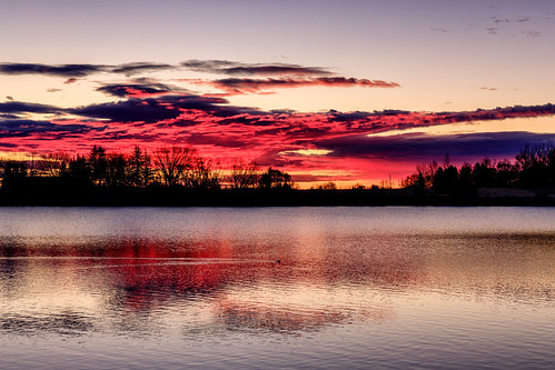 canada alberta newellcounty brooks staffordlake sunrise dawn sky cloud clouds lake water reeds ca