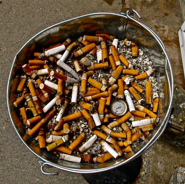 Circles.  New Harbor. Maine. Cigarette butts.
