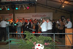 2008 71. Bezirksmusikfest in Mörel