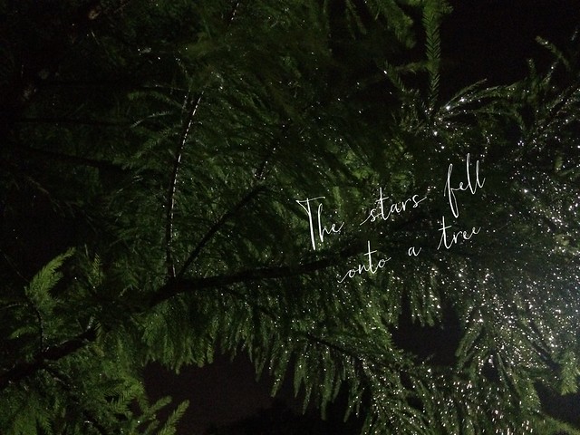The stars fell onto a tree