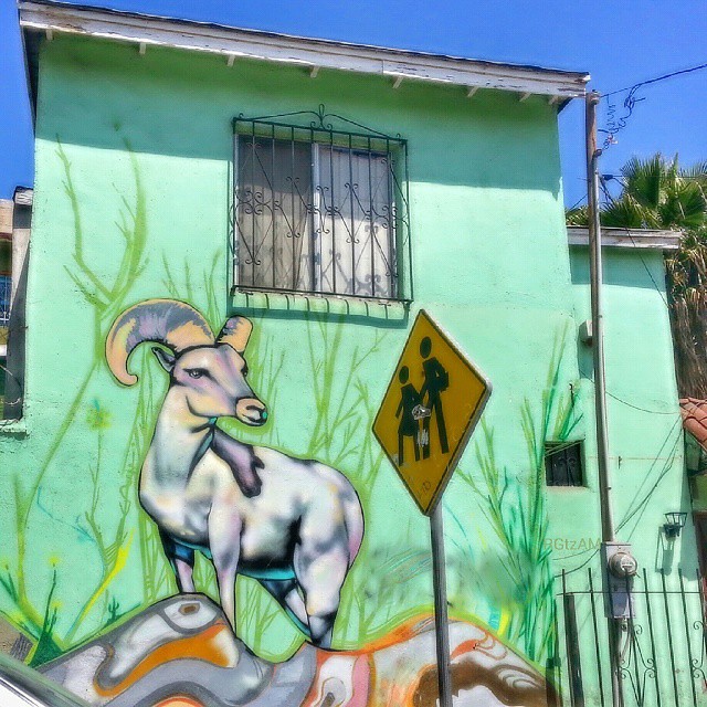 Tijuana Street Art (Cimarron) #awesome #zonacentro #calles… | Flickr Nortenos Graffiti