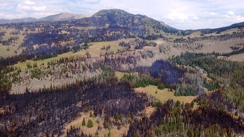 Fawn Fire August 8, 2016 | NPS/Charissa Reid | Yellowstone National ...