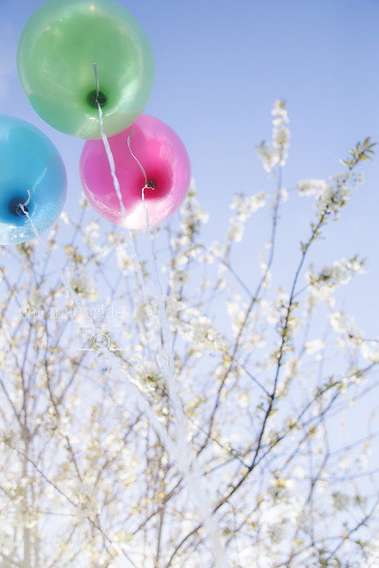 baloons and blossom