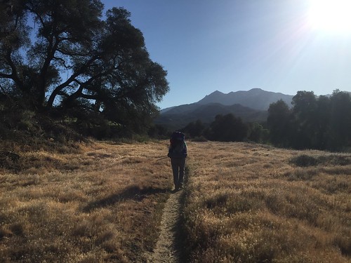 PCT: Day 10