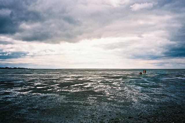 Marée basse au Crotoy - Low Tide