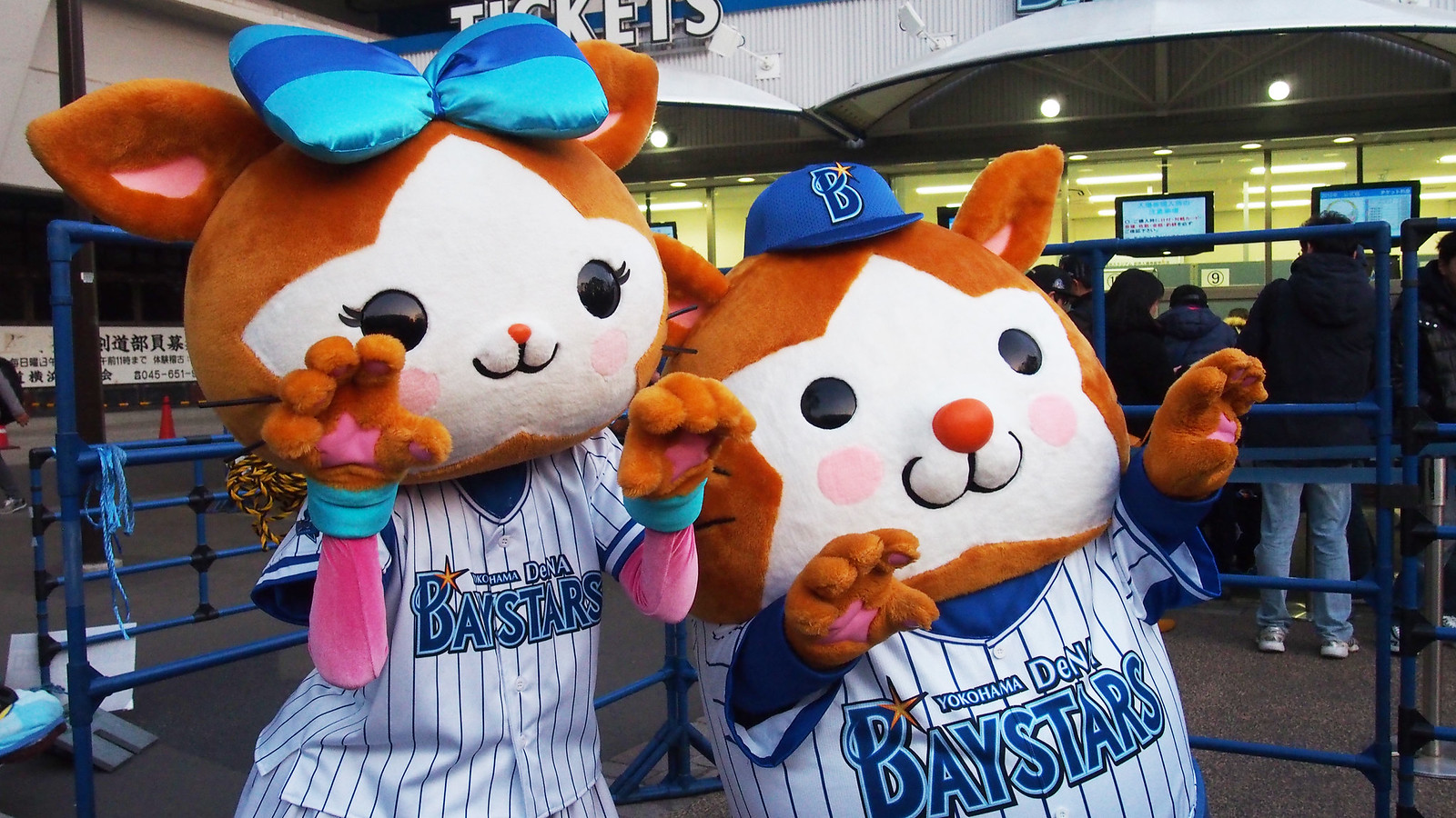 ノ｀O´)ノがぉ～ | OLYMPUS DIGITAL CAMERA | tanuko | Flickr